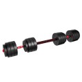 lion_40_barbell_2.jpg