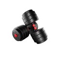 lion_40_dumbells_1.jpg