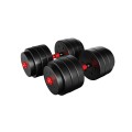 lion_40_dumbells_2.jpg