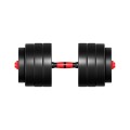 lion_45_dumbbells_2.jpg