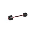 lion_45_dumbbells_2in1_1.jpg