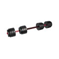 lion_45_dumbbells_2in1_2.jpg