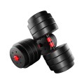 lion_45_dumbbells_4.jpg