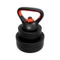 lion_45_kettlebell.jpg