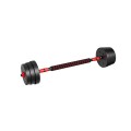 lion_2_0_barbell_1.jpg