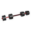 lion_2_0_barbell_2.jpg