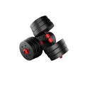 lion_2_0_dumbells_1.jpg