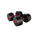lion_2_0_dumbells_2.jpg