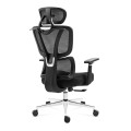 expert4.6_black_back_bevel.jpg