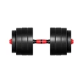 lion_25_dumbbells_2.webp