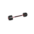 lion_25_dumbbells_2in1_1.webp