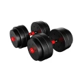 lion_25_dumbbells_3.webp