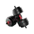 lion_25_dumbbells_4.webp