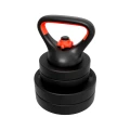 lion_25_kettlebell.webp