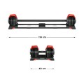 lion_65_dimensions_feature1.jpg
