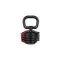 lion_65_front_kettlebell2.jpg