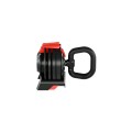 lion_65_front_kettlebell.jpg
