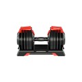lion_65_front_dumbell.jpg