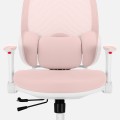 junior6.3_pink_feature_lumbar.jpg