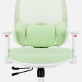 junior6.3_green_feature_lumbar.jpg