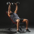 Gorilla_10_gym_square.jpg
