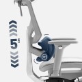 Expert8.7_grey_feature_backrest.jpg