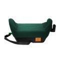 cabby25_green_back.jpg