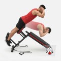 gorilla_15_roman_bench.jpg