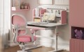 study_50_pink_arrangement.jpg