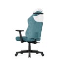ranger5.7_teal_back.jpg